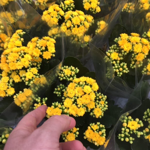 plantasjen søreidgrend plantasjen søreidgrend