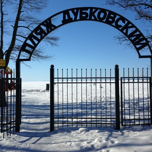 Сестрорецк дубки парк зимой
