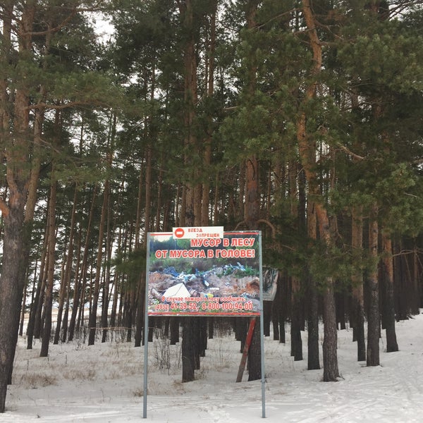 Лыжная база в Шексне