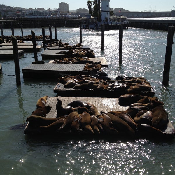 4/21/2013 tarihinde Corey W.ziyaretçi tarafından Pier 39'de çekilen fotoğraf