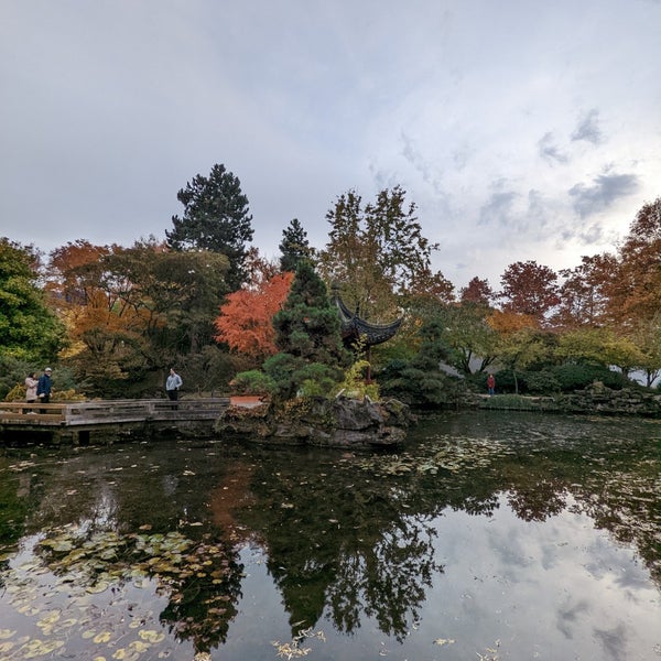 11/20/2022にChairman T.がDr. Sun Yat-Sen Classical Chinese Gardenで撮った写真