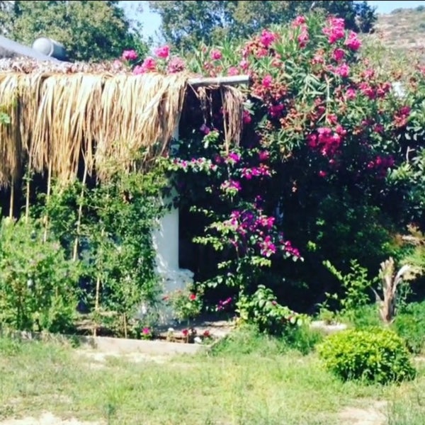 Asmalı Çardak 248 tips