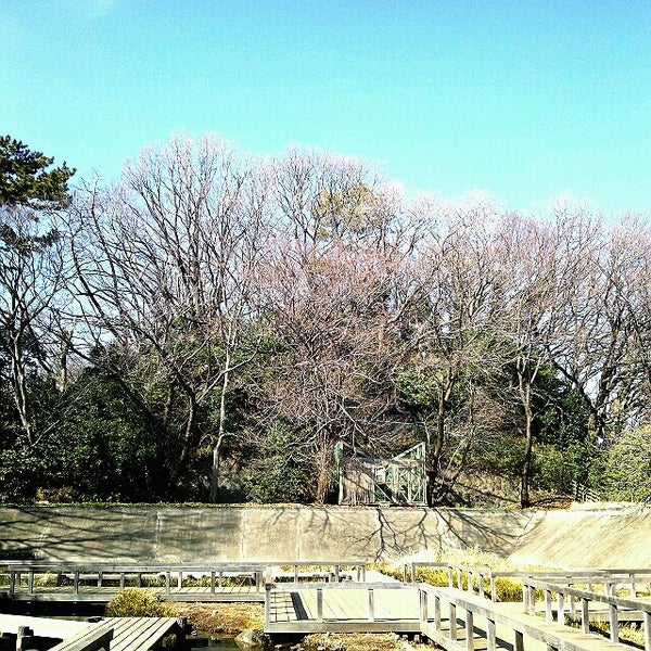 亀甲山古墳 玉川 2 Tips From 252 Visitors 亀甲山古墳 玉川 2 Tips From 252 Visitors