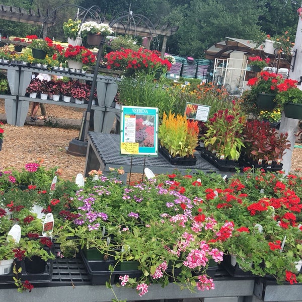 Betty's azalea ranch Flower Store