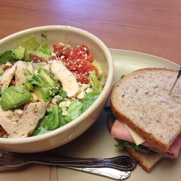 Panera Bread Springfield, PA