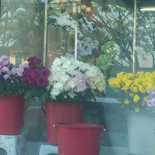 Photos At Jin Florist Flower Shop In Kulim