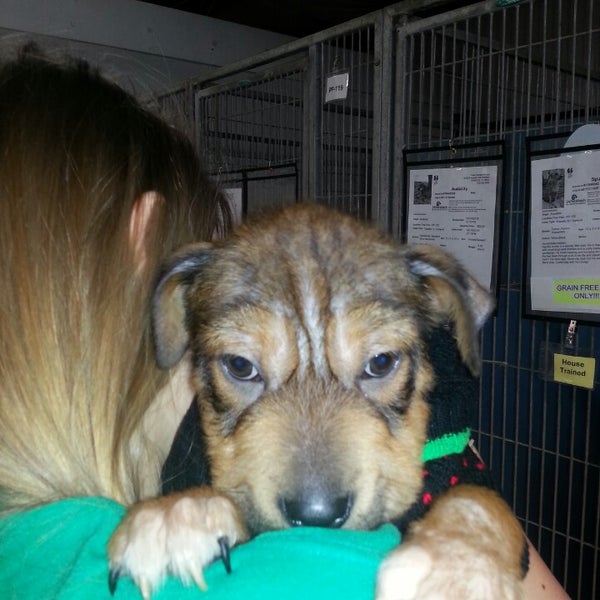 Texas Humane Heroes 10930 E Crystal Falls Pkwy