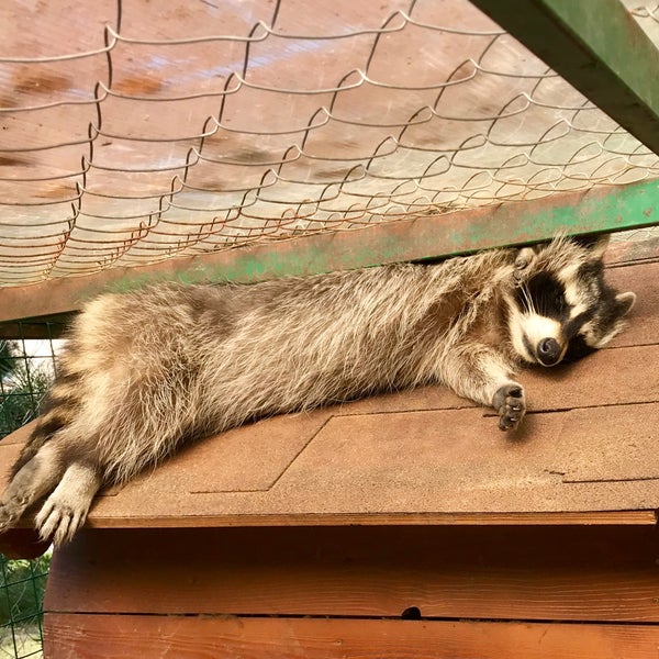 Foto tomada en Экоотель «Романов лес» / Ecohotel “Romanov les”  por Artntone -. el 9/9/2018