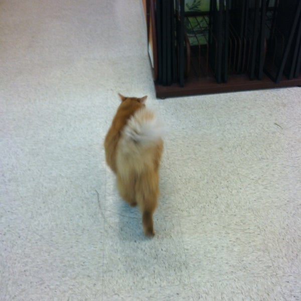 Tropic Waters Pet Center Pet Supplies Store in Eau Claire