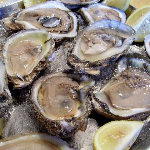 It's that time again! $.25 raw oyster for the first dozen-Don't forget $2 Mic Ultras and Bud Light to wash them down!