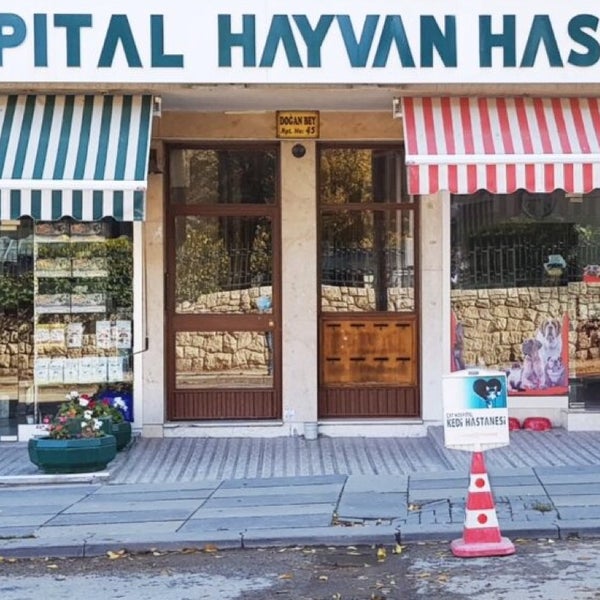 Das Foto wurde bei Cat Hospital Kedi Hastanesi von Ayşe K. am 5/1/2018 aufgenommen
