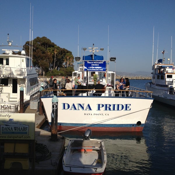 Photo taken at Dana Wharf Whale Watching by Frankie G. ✌ on 5/3/2013