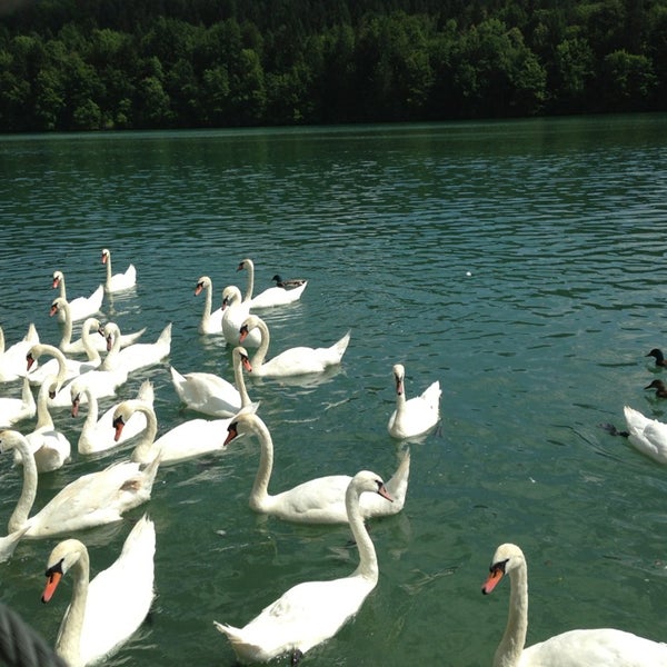 Photo taken at Zbiljsko jezero by Sara E. on 6/29/2013
