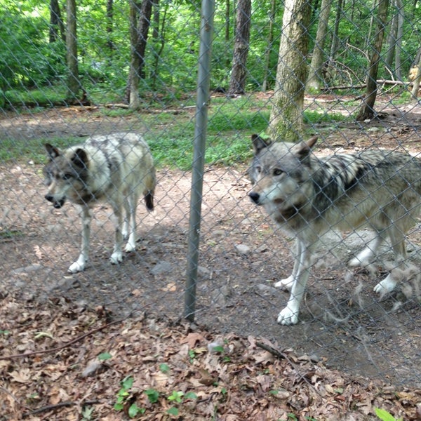 Photo taken at Camp Taylor &amp; Lakota Wolf Preserve by Andres M. on 6/22/2013