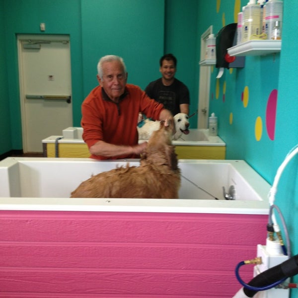 diggity doggy daycare