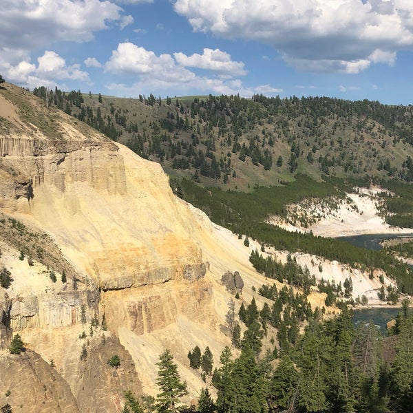 specimen ridge yellowstone