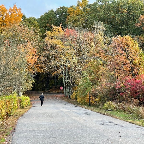 List 91+ Pictures lincoln woods state park photos Updated