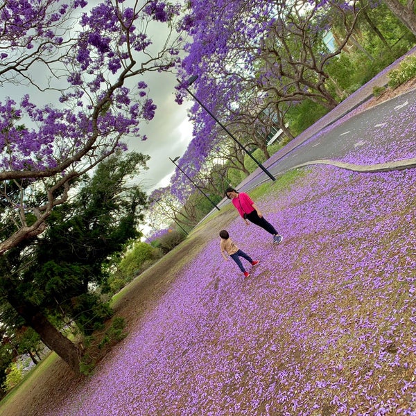 UQ Great Lake - 5 tips from 421 visitors