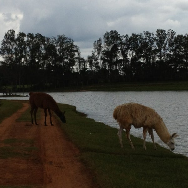 รูปภาพถ่ายที่ Pampas Safari โดย Ivana M. เมื่อ 2/12/2013