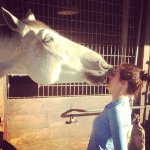 Equest Farm Stable in New Orleans