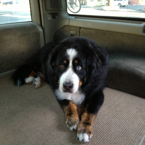 Memorial Beach Veterinary Hospital Veterinarian in Healdsburg