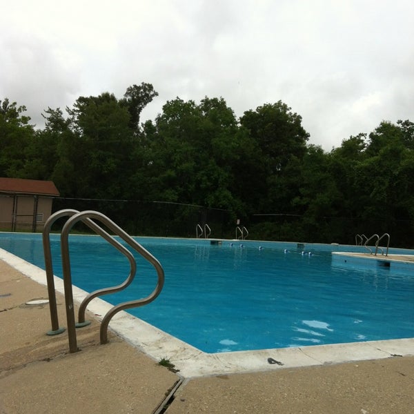 St bernard swimming best sale pool