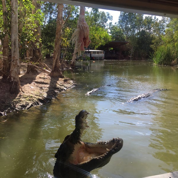 Photo taken at Hartley&#39;s Crocodile Adventures by Angela M. on 6/12/2018