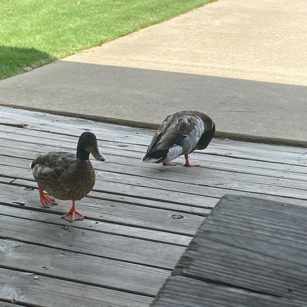 Jim Saucier Memorial Park 27 visitors