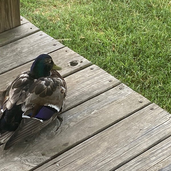 Jim Saucier Memorial Park 27 visitors