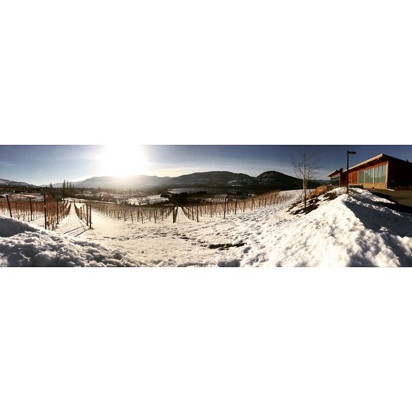 1/21/2015 tarihinde Field Guideziyaretçi tarafından Poplar Grove Winery'de çekilen fotoğraf