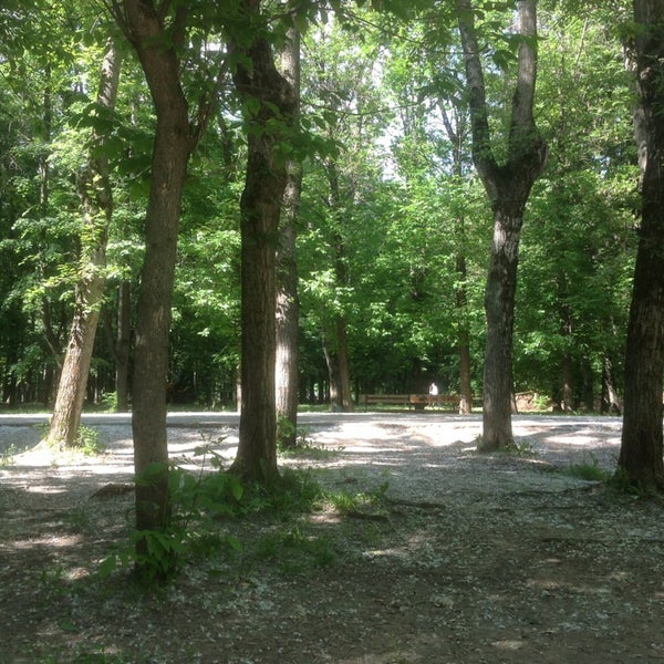 Кунцевский парк