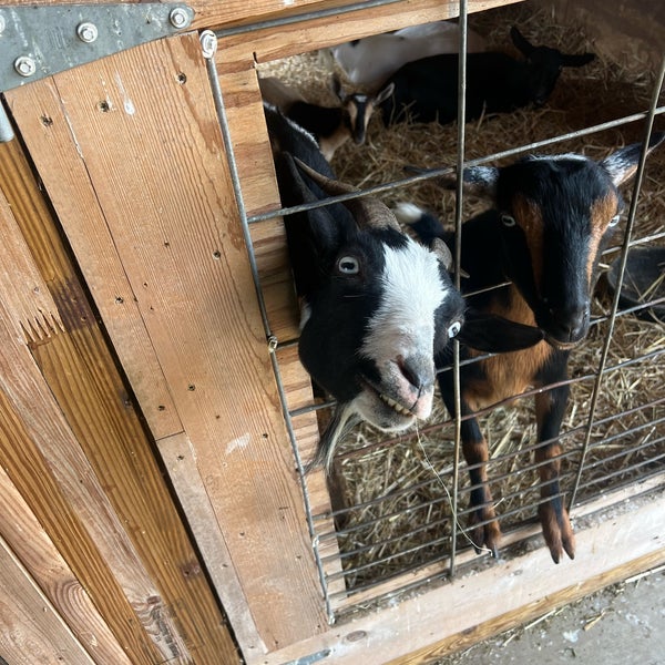 Photo taken at Country Bumpkin Farm Market by Margaret W. on 9/17/2022