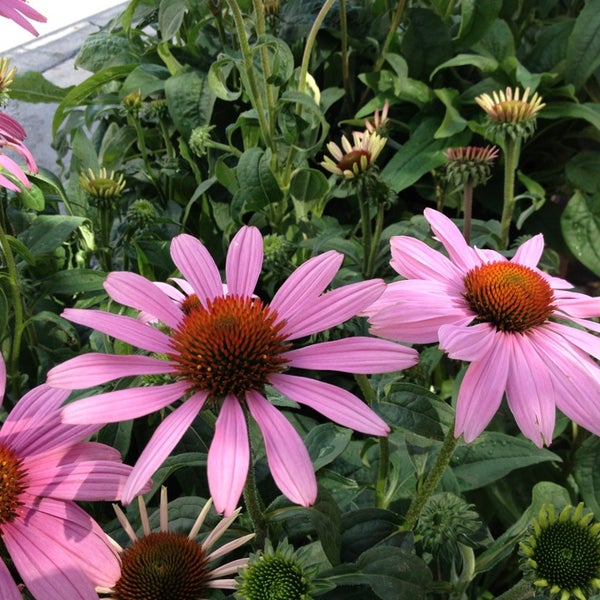 Photos at The Home Depot Hardware Store in Kanata