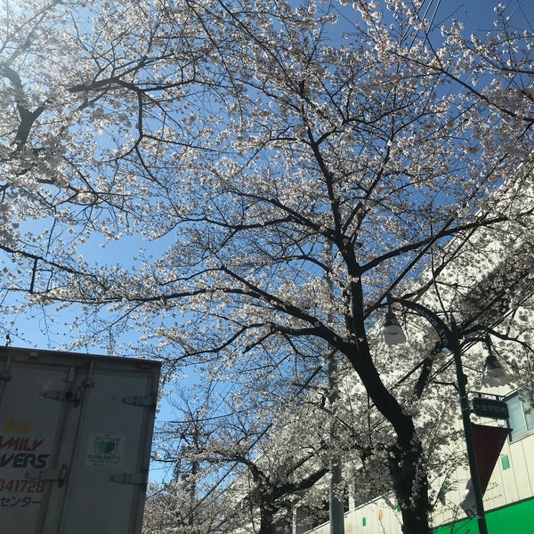 サミットストア 大泉学園店 大泉学園町6 29 30