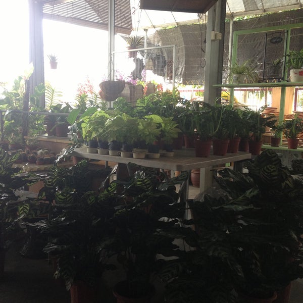 Photos At Bh City Garden 1 Tip