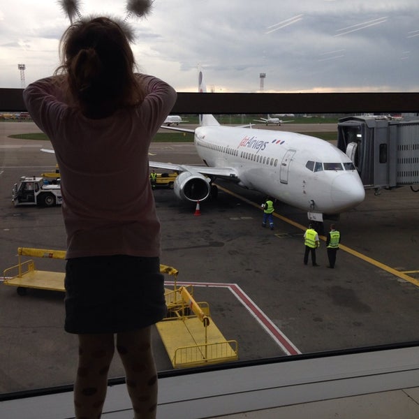 Стойка регистрации эйр сербия. Air serbia check in. Air serbia check in. Air serbia cabin crew. Эйр сербия бортпроводники.