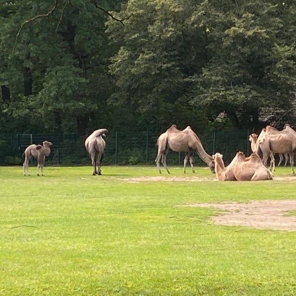8/11/2021 tarihinde Anna R.ziyaretçi tarafından Tierpark Berlin'de çekilen fotoğraf