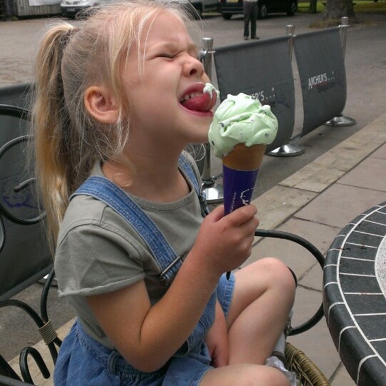 Archers Jersey Ice Cream Walworth, Darlington