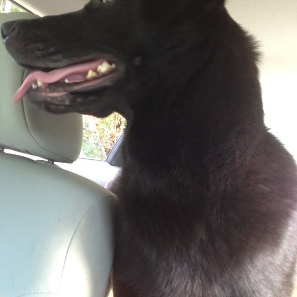 Photos at Kitsap Humane Society Pet Supplies Store in Silverdale