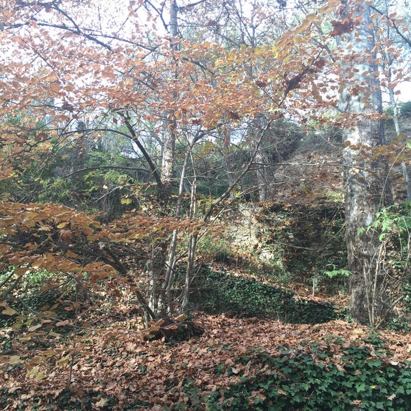 Photo prise au Parque Natural del Monasterio de Piedra par Sandra O. le12/6/2015