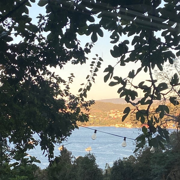 Momo Bebeköy Bebek 578 ziyaretçidan 13 tavsiye