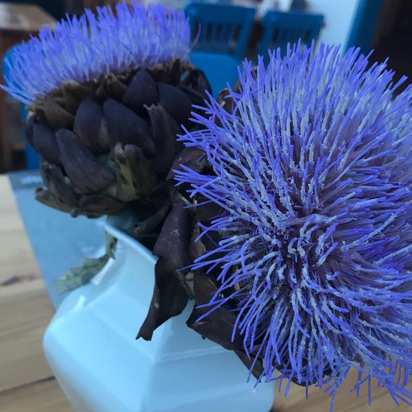 6/17/2017 tarihinde Tulin Kziyaretçi tarafından Orfoz Restaurant'de çekilen fotoğraf