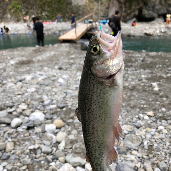 Foto Di 氷川国際ます釣場 Punto Di Pesca In 奥多摩