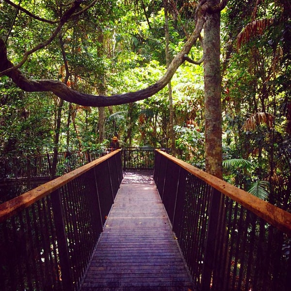 Barron Falls Lookout 11 tips Barron Falls Lookout 11 tips