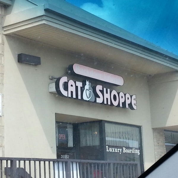 Backdoor Friends Cat Shoppe Farmington Farmington Hills, MI