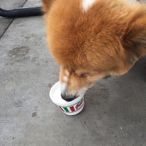 Joe's Italian Ice (Now Closed) Ice Cream Parlor in Garden Grove