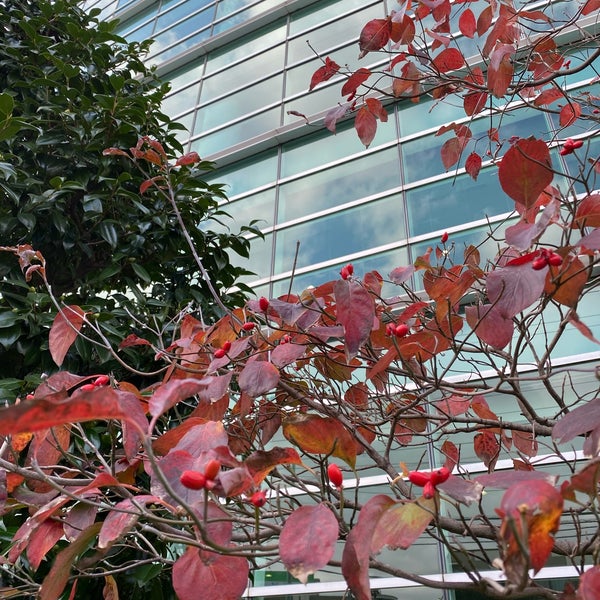 杏林大学病院前バス停 三鷹 新川6 Da Fotograflar