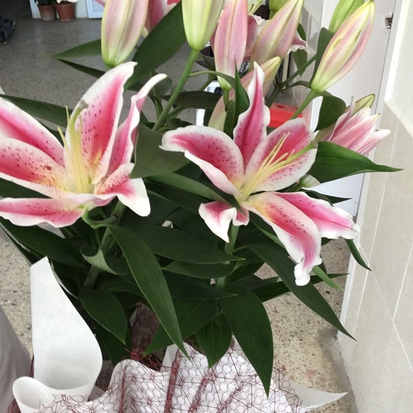 Photos at Celile Öner Ortaokulu