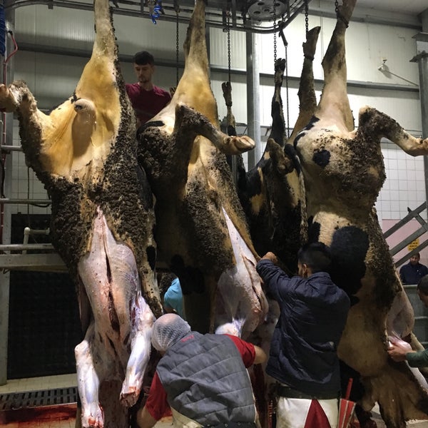 Göbel Aydoğan Kardeşler Et Entegre Tesisleri Susurluk�ta Fabrika