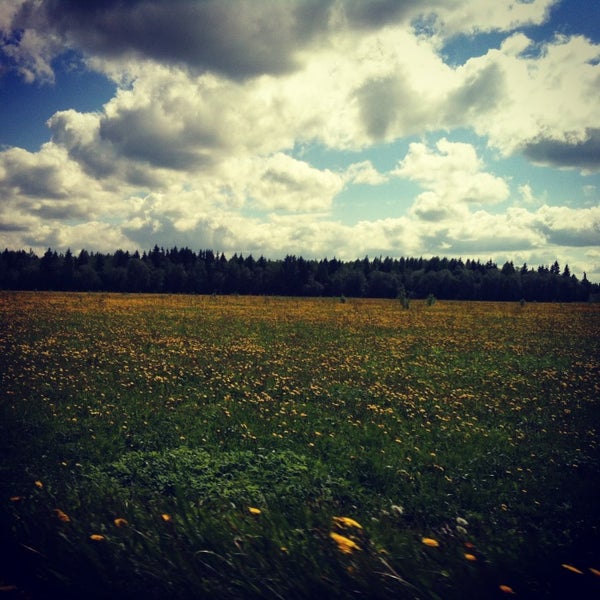 Подслушано рабитицы